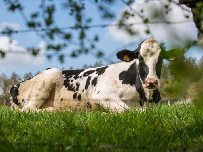 Fermes et Agriculteurs